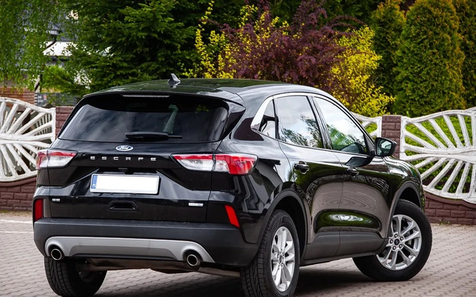Ford Escape cena 72900 przebieg: 125000, rok produkcji 2020 z Szlichtyngowa małe 562